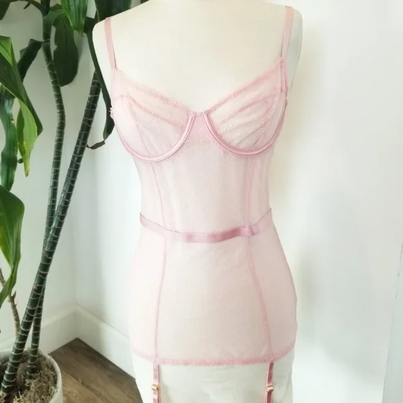Victoria's Secret Very Sexy Pink Sheer Mesh Lace Garter Lingerie Dress NWT - Picture 3 of 12